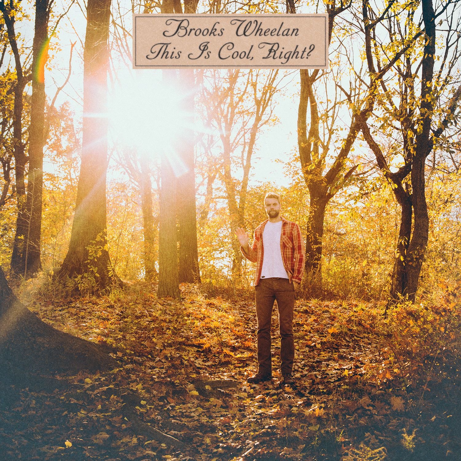 Cover to Brooks Wheelan's This Is Cool, Right?
