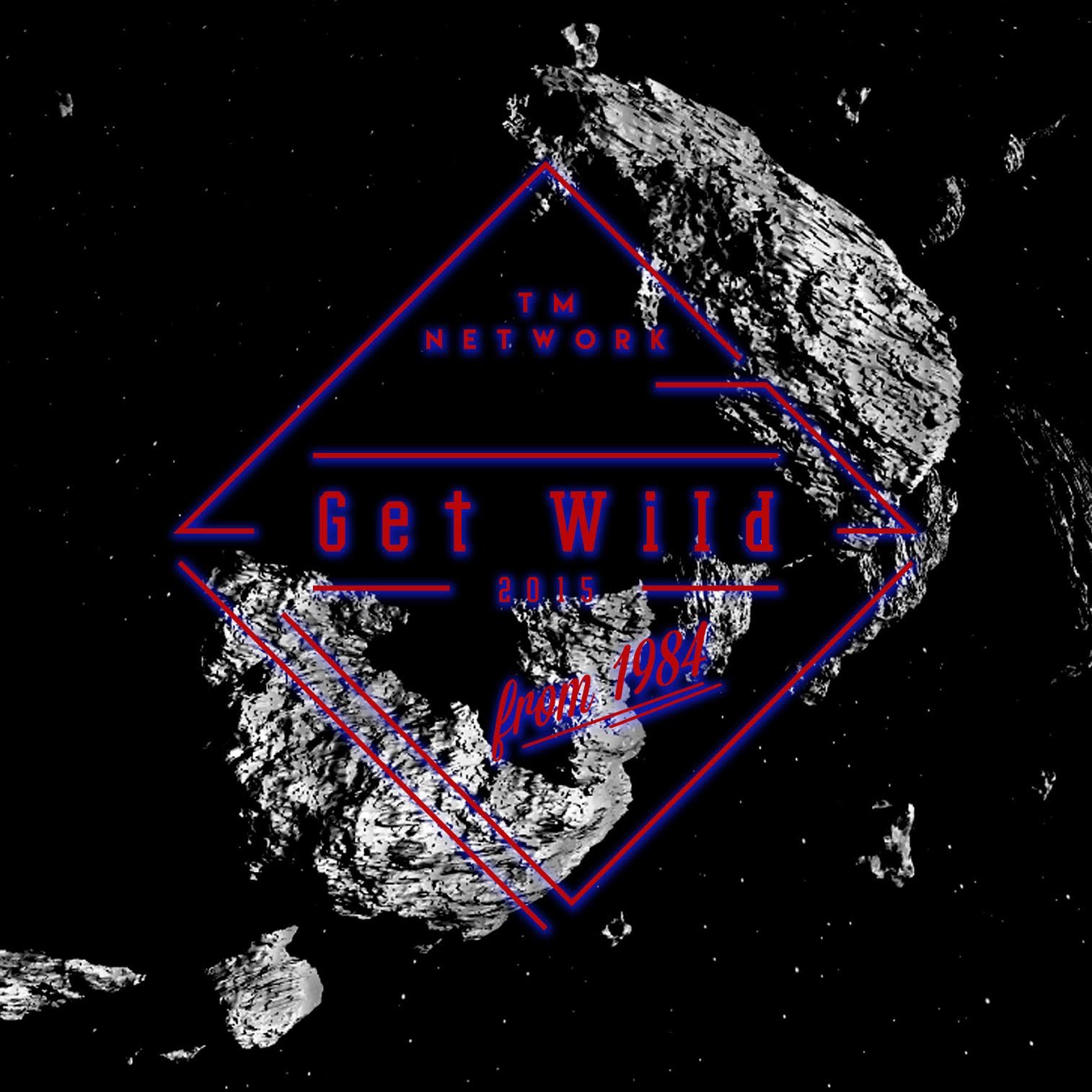 TM Network* TMN - Wild Heaven TM Network* TMN - Wild Heaven
