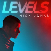 Nick Jonas - Levels  artwork