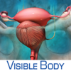 Visible Body - Reproductive and Urinary Anatomy Atlas: Essential Reference for Students and Healthcare Professionals アートワーク