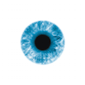 Your Eyes - sets of exercises to improve your eyes