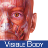 Muscle Premium - Visible Body