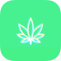 FourTwenty - 4:20 Alarm