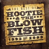 Hootie & The Blowfish - The Best of Hootie & The Blowfish (1993-2003)  artwork