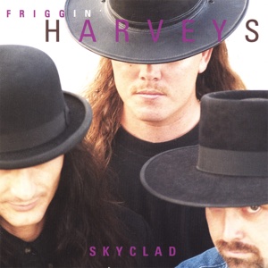 Something Old Something New by Friggin Harveys lyrics - DamnLyrics