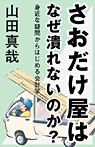 山田真哉 - さおだけ屋はなぜ潰れないのか? 身近な疑問からはじめる会計学 アートワーク