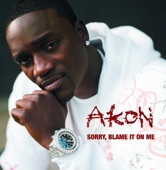 Sorry, Blame It On Me - Single