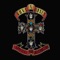 Appetite for Destruction