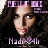 Crash and Burn (Steven Lee & Vincent Di Pasquale "Fader Pro" Remix) - Single