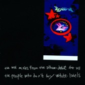 The Best Mixes from the Album - Debut for All the People Who Don't Buy White-Labels