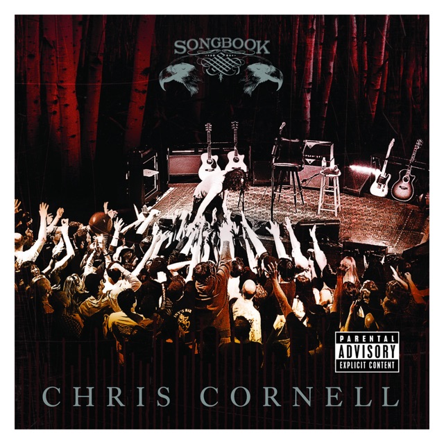 Chris Cornell - Fell On Black Days