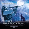Under The Spell Of Moonlight Under The Spell Of Moonlight