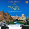 Confluence III: A Meeting By The Nile