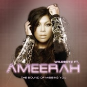 The Sound of Missing You (feat. Ameerah) - EP
