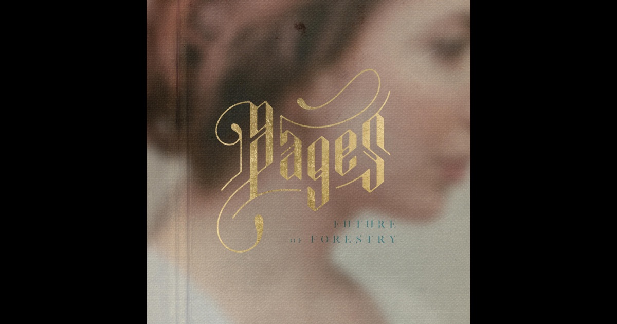Twilight belonging essay