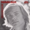 Holubí Dům