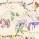 Chris Robinson Brotherhood - Barefoot in the Head  artwork