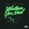 Whatever You Need (feat. Chris Brown & Ty Dolla $ign) - Single