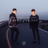 Martin Garrix & Troye Sivan - There For You  artwork