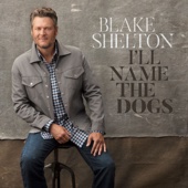 Blake Shelton - I'll Name the Dogs  artwork
