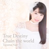 True Destiny / Chain the World - Single