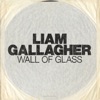 Wall of Glass - Single