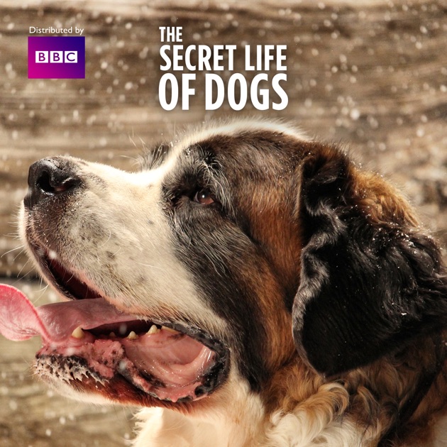 The Secret Life of Dogs, Season 2 on iTunes