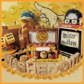 Washed Out - Mister Mellow  artwork
