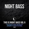 This is Night Bass, Vol. 6