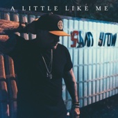 Sam Grow - A Little Like Me - EP  artwork