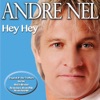 <b>ANDRE NEL</b> - MOOI IS ALLE VROUE: Artist: <b>Andre Nel</b>: Album: Hey, Hey, 2013 - 100x100bb