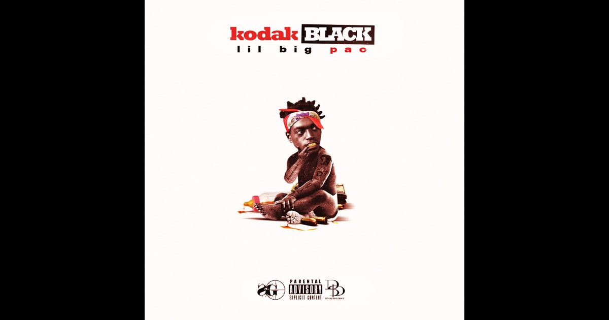 Kodak Black Can I Download