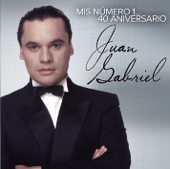 Juan Gabriel - Mis Número 1... 40 Aniversario  artwork