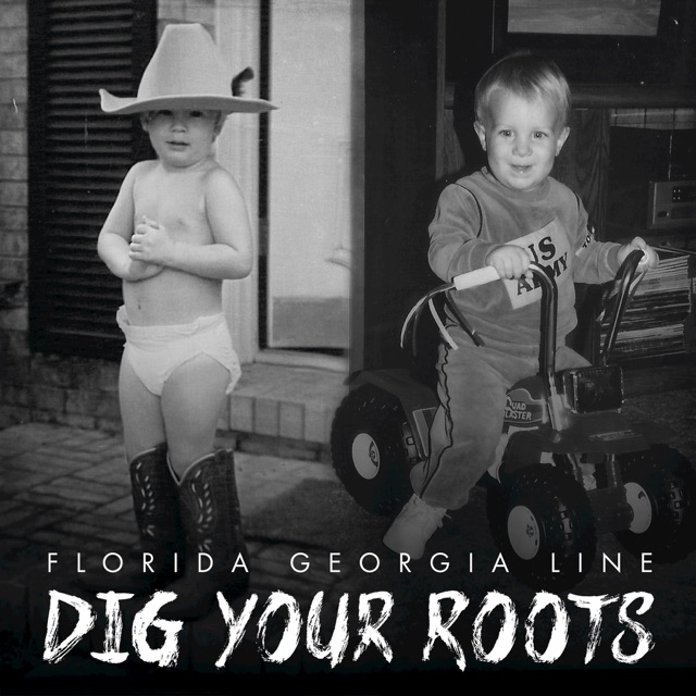 Florida Georgia Line Dig Your Roots Album Cover