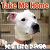 Take Me Home - Pet Adoption and Animal Rescue - Pets & Animals on Pet Life Radio (PetLifeRadio.com)