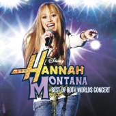 Hannah Montana - Best of Both Worlds Concert