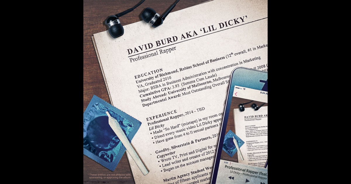 lil dicky professional rapper audio