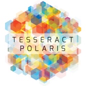 TesseracT - Polaris  artwork