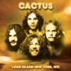 Long Island NY 1971 (Live FM Radio Concert In Superb Fidelity - Remastered)
