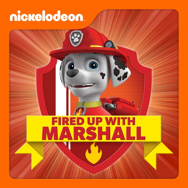 paw patrol marshall charged up