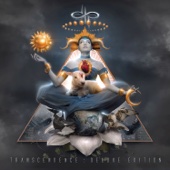 Devin Townsend Project - Transcendence (Deluxe Edition)  artwork