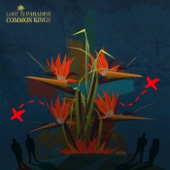 Common Kings - Lost in Paradise  artwork