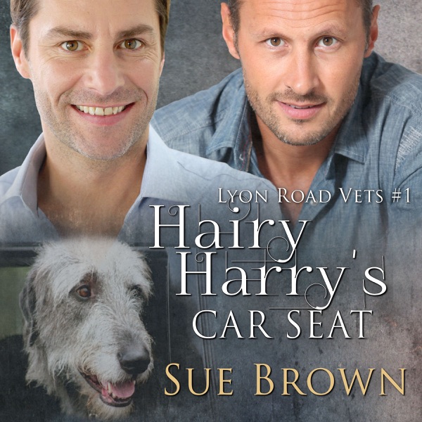 Lyon Road Vets 01 - Hairy Harry's Car Seat (M4B) - Sue Brown