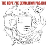 PJ Harvey - The Hope Six Demolition Project  artwork
