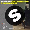 Can't Forget You (feat. The Nicholas) [Extended Mix]
