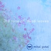 3rd Tone of Dead Leaf - Single