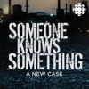Someone Knows Something Someone Knows Something