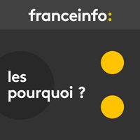 Les pourquoi podcast