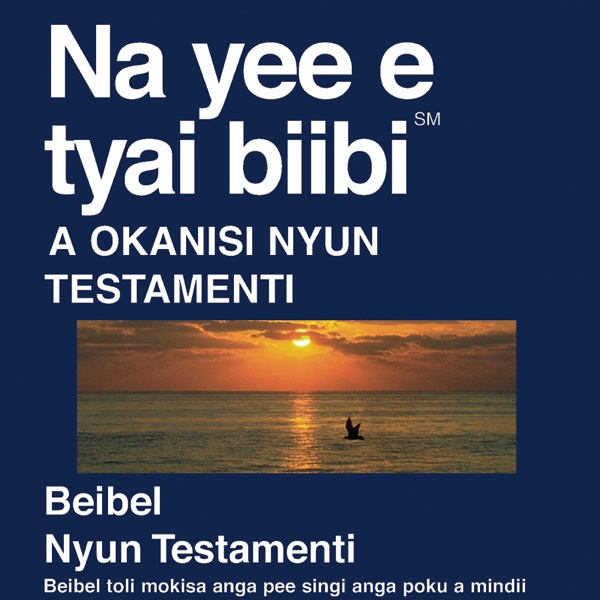 Aukaans Bijbel - Aukaans Bible