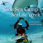 Annie Crawley - Kids Sea Camp SeaLife Camera Week artwork